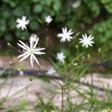 虫虫惷琪