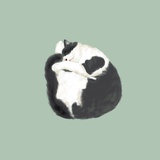 王任意