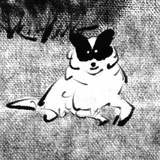 D..z