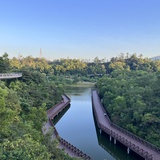wanqingsong