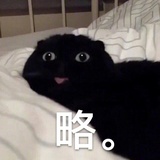 尹城