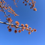 燚