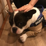 麦蔬