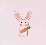 星星无所不知