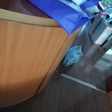 零登猴得