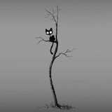 戈梵