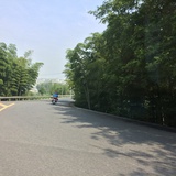 春嘉