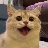 Ruiiiii