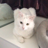 下儿