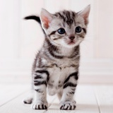 youan_miller