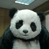 PanPanPanda