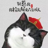 五香肉丸