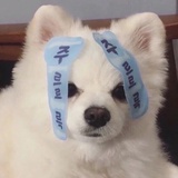 祝您生活愉快