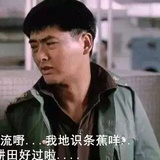 甲西