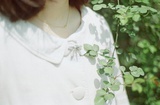 梅边竹上