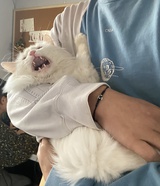 iFtwMdt