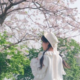 宫主冰