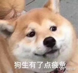 Zee