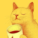 特立独行的猫