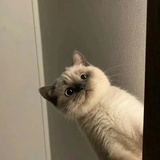早点睡觉