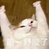 咖啡是命