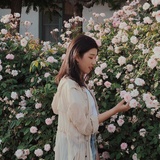 Lily就是丽丽啊