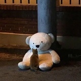 简小呆