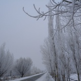 老子遇到恶之花