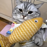 之桃