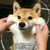 我的豆瓣