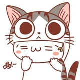 冬瓜毛