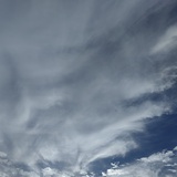 淼淼