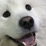 翩翩
