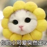 小波
