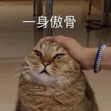 荷包蛋