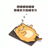 大脸猫