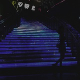 深夜枸杞子