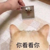 嘿嘿嘿嘿嘿嘿嘿