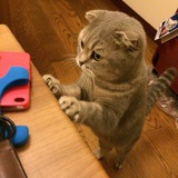 权兔兔