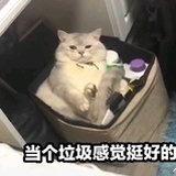 想吃螺蛳粉