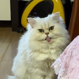 Sonrisa