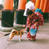 嘟嘟是笨蛋