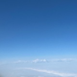 我想要两颗西柚