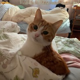 有一碗粥
