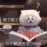 吉娃娃