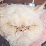 今天坚持锻炼吗