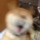 也山