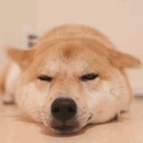 土豆泥