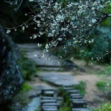 碎念