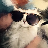 viiky